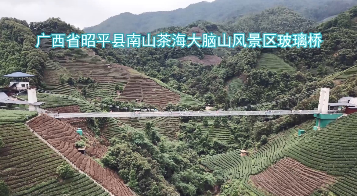 沪马建工玻璃桥案例8