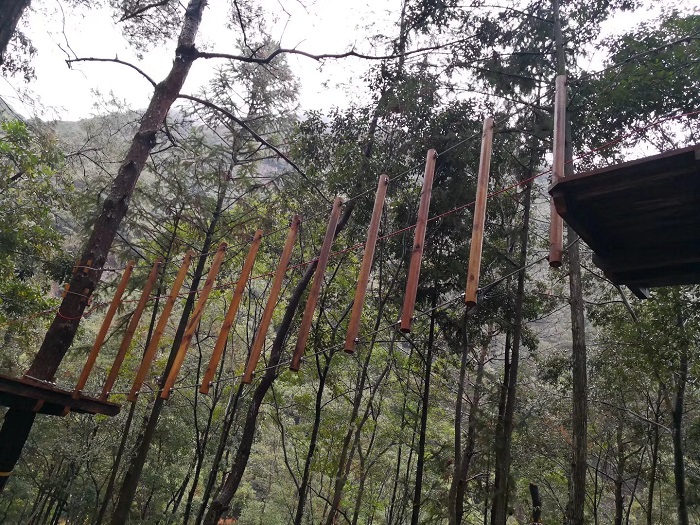 沪马建工丛林探险案例11