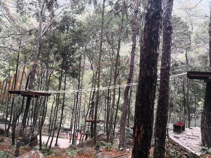 沪马建工丛林探险案例14