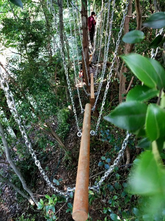 沪马建工丛林探险案例18
