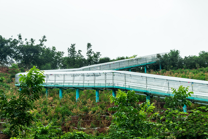 沪马建工旱滑道案例11
