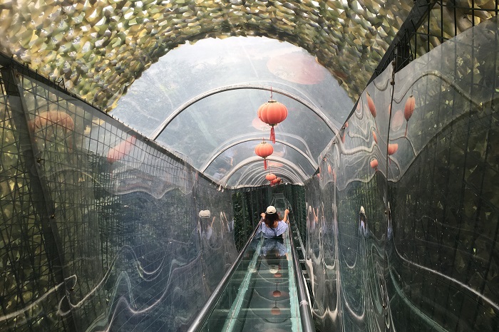 沪马建工旱滑道案例18