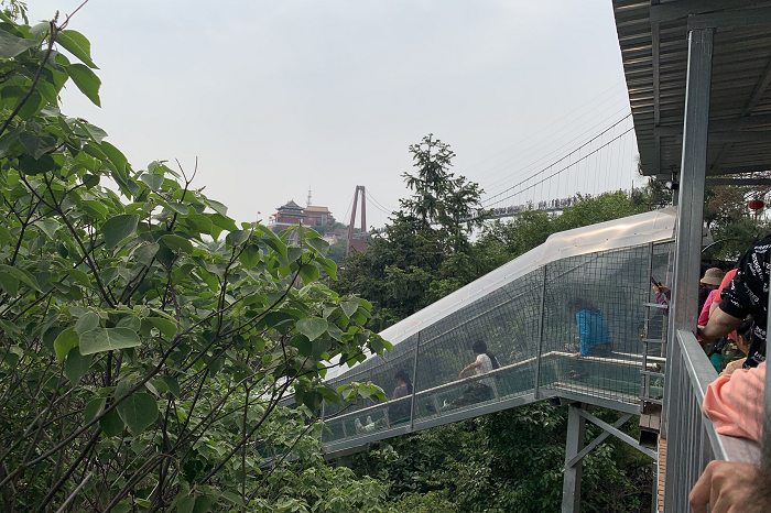 沪马建工旱滑道案例9