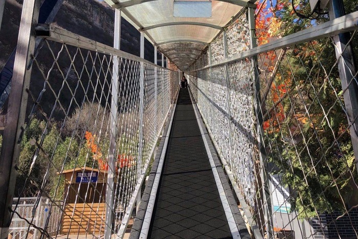 沪马建工上山魔毯案例1